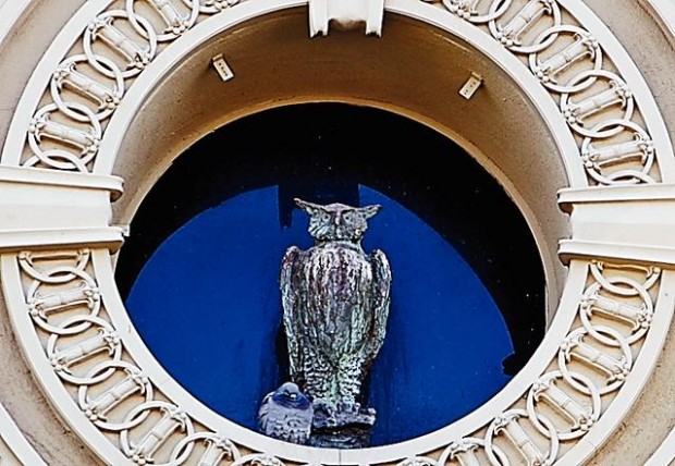 Owls Club, built in 1901, for sale  