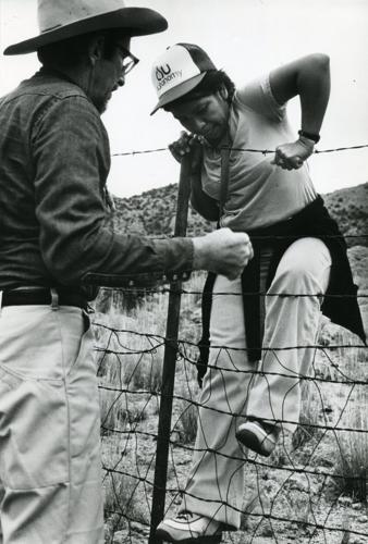 042025-tuc-metro-steller-p2