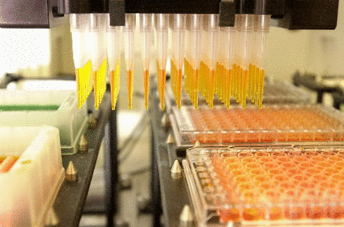 HTG inks test-slide deal with Roche unit  