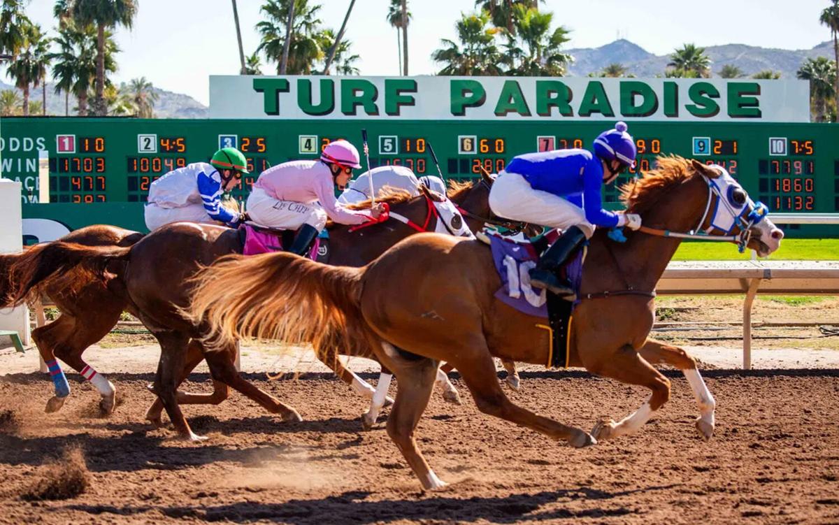 Turf Paradise