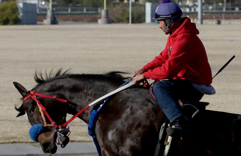 Horse racing returns to Rillito Park