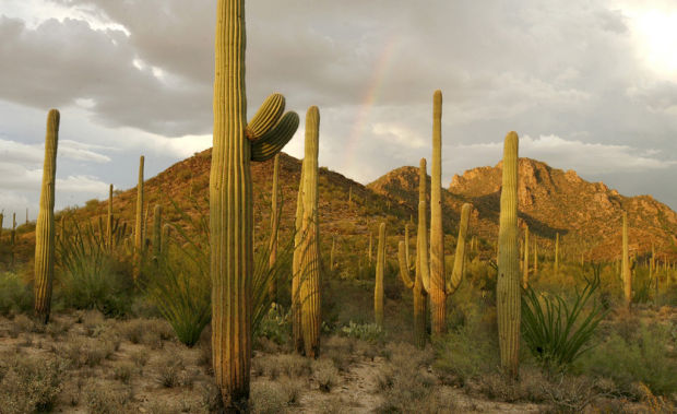 Across Southern Arizona, sequestration could affect jobs, services - and lives    