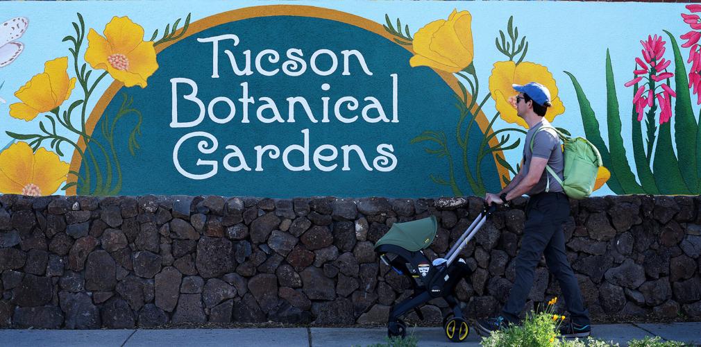 Tucson Botanical Gardens mural