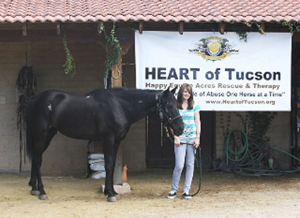 Group's focus is helping horses, teaching their care   