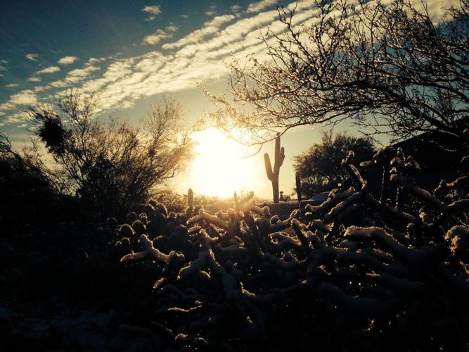 Snow in Tucson