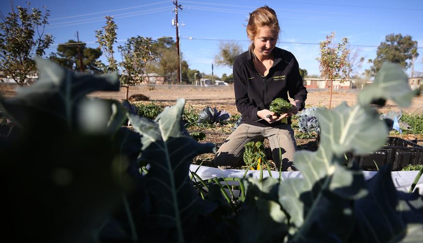 Las Milpitas Community Garden