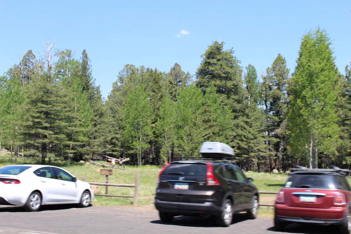 Hiking the Aspen Corner in the Flagstaff area Hiking and recreation