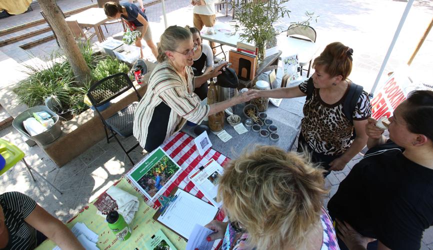 Mesquite Milling & Fiesta