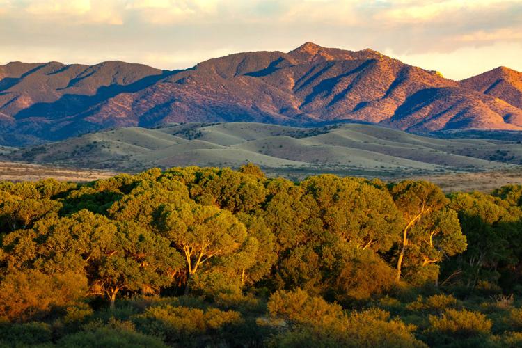 Roadless areas in Coronado National Forest could see road building again