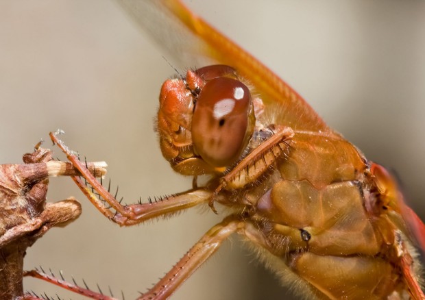 'Shutterbug' takes on new meaning    