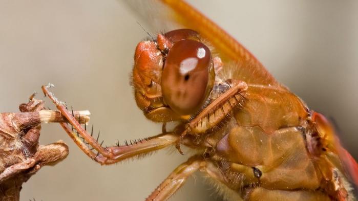 'Shutterbug' takes on new meaning