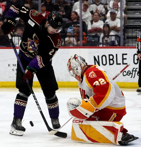 Roadrunners vs Calgary, game 2 (copy)