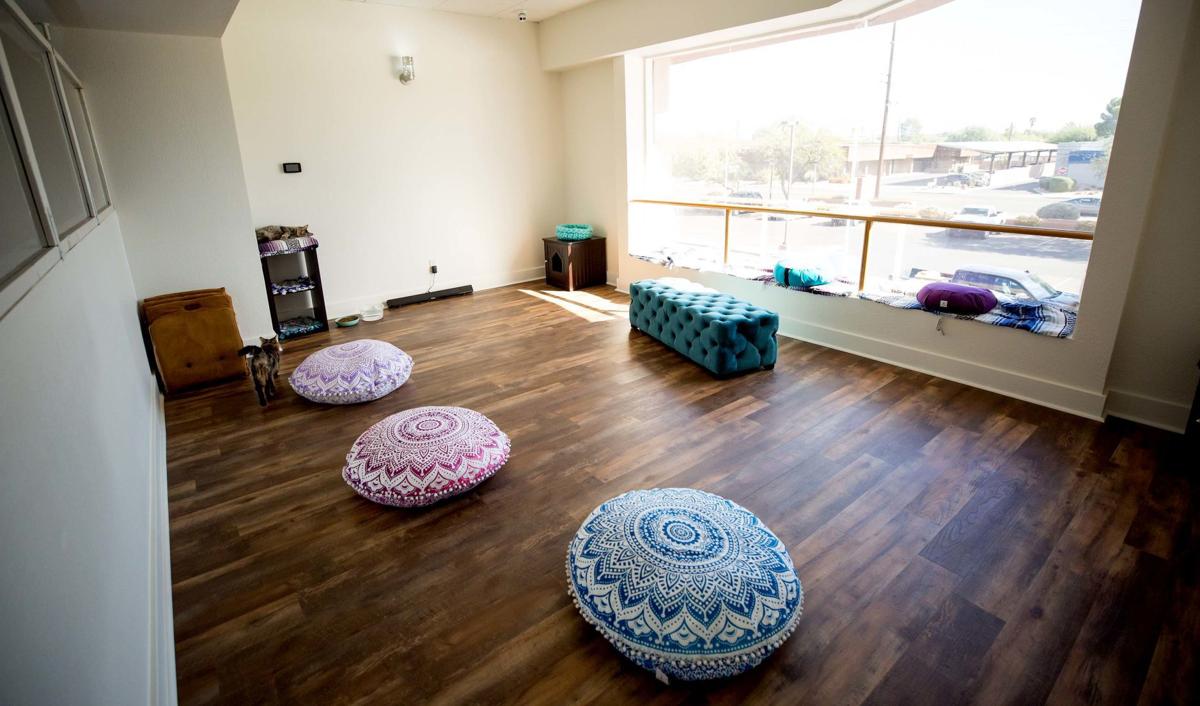 Big City Venue Comes To Tucson A Cat Lounge Business News