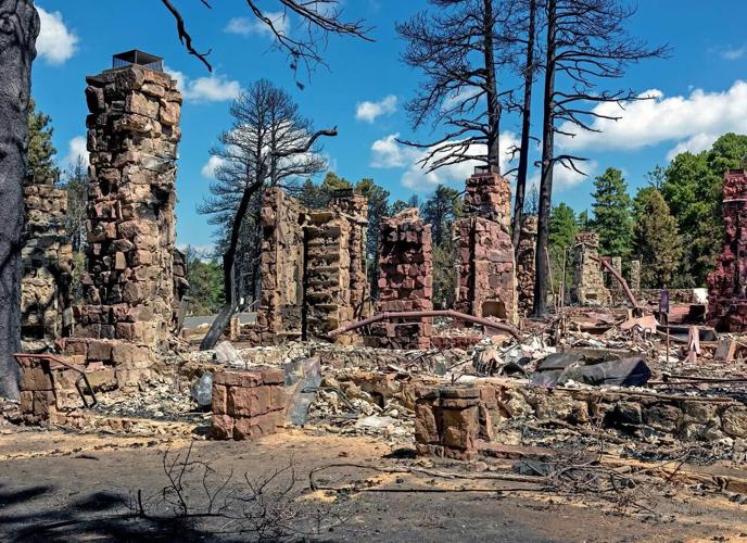 Grand Canyon shows its resilience a year after massive Dragon Bravo Fire
