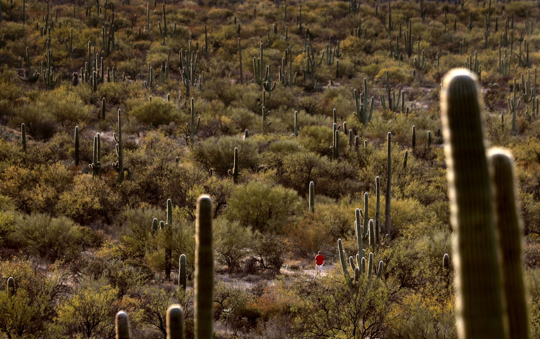 Douglas Spring Trail