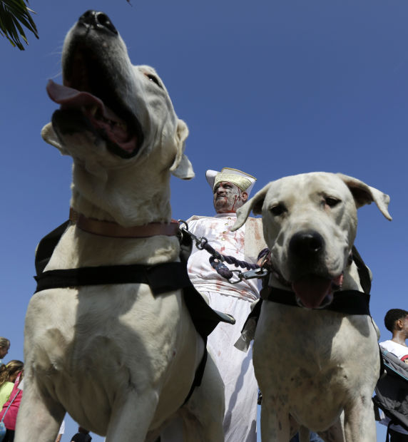 Animal shots of the week