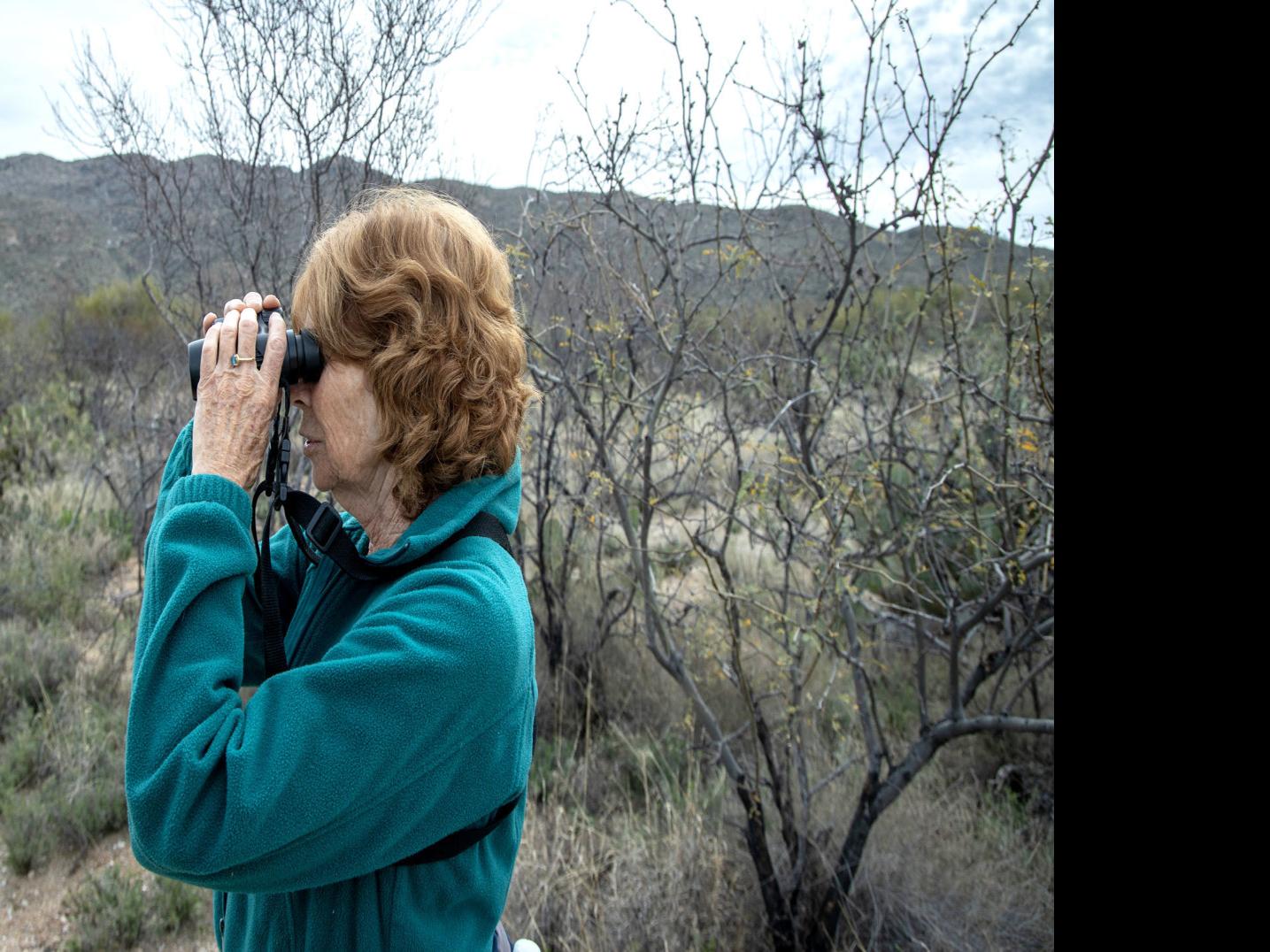 Desert Detective Knows Where Critters Hole Up Outdoors Tucson Com