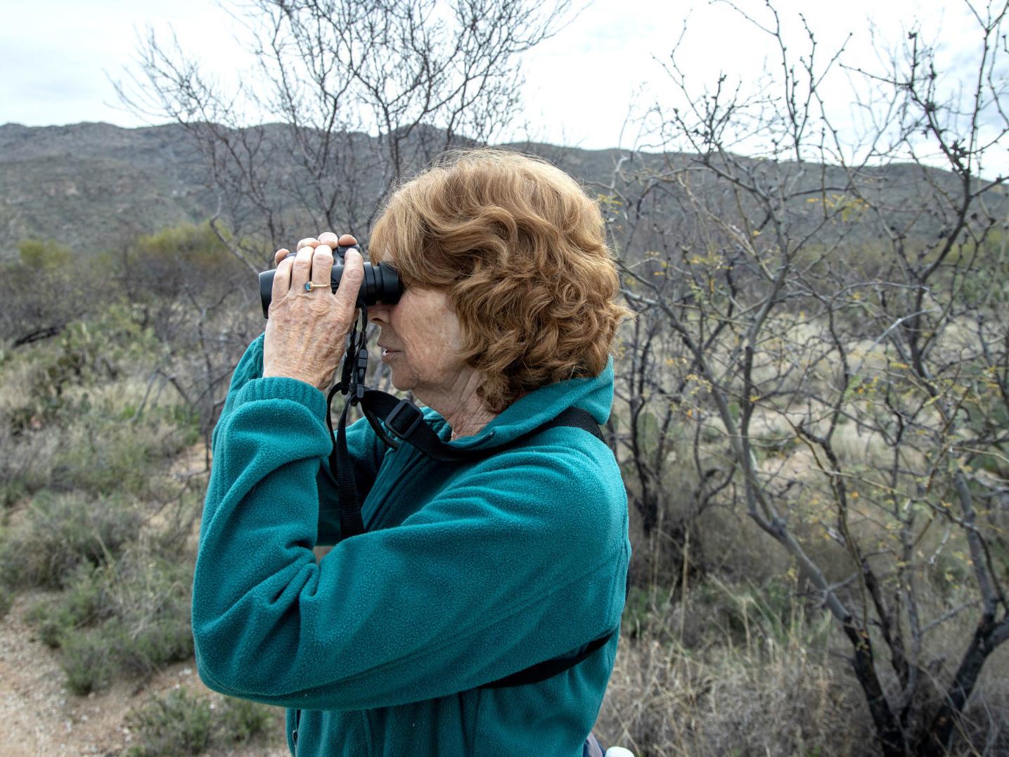 Desert Detective Knows Where Critters Hole Up Outdoors Tucson Com
