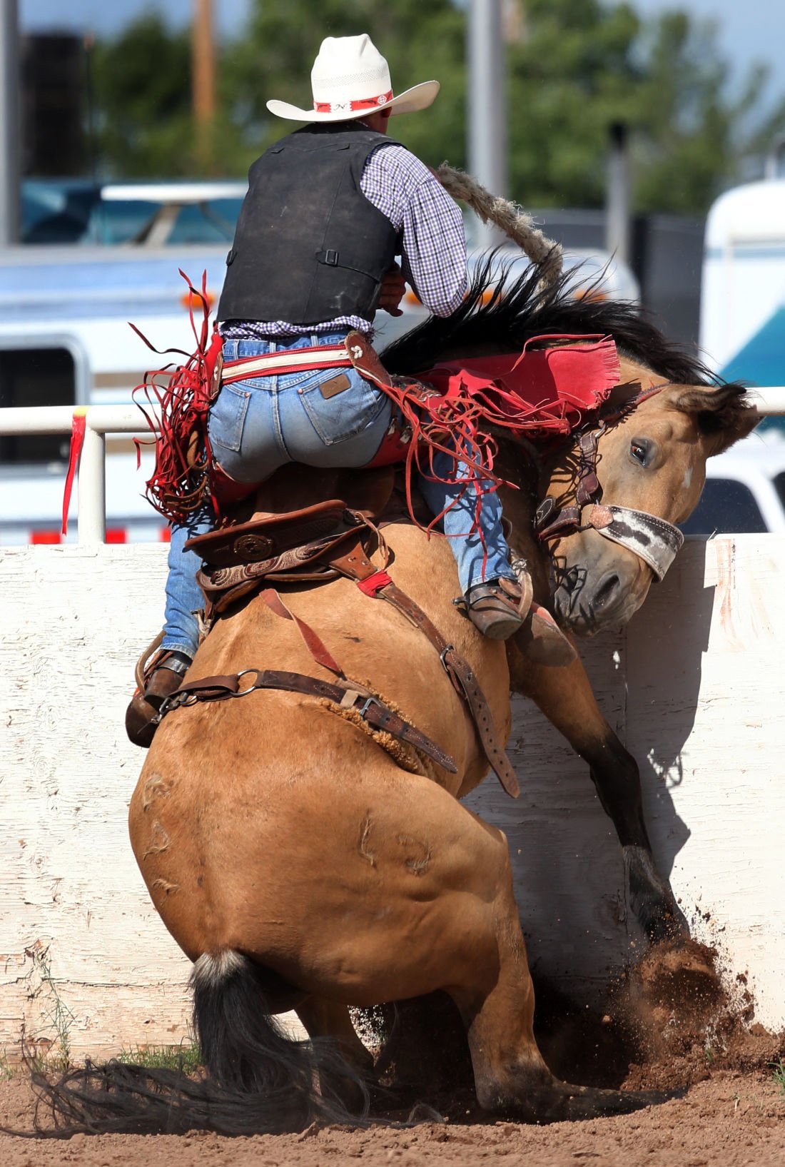 Photos 100th Sonoita Labor Day Rodeo Local news