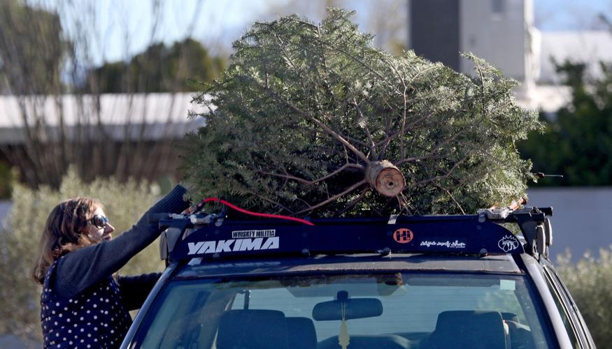 TreeCycle