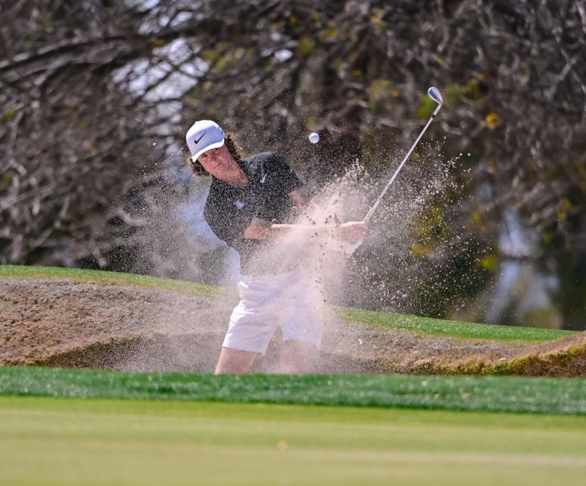 Arizona men's golf | Zach Pollo