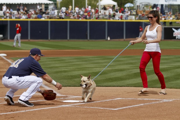 Animal shots of the week