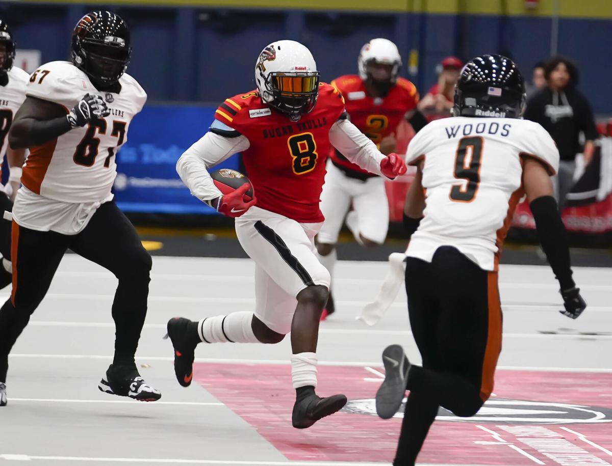 Rattlers Sugar Skulls