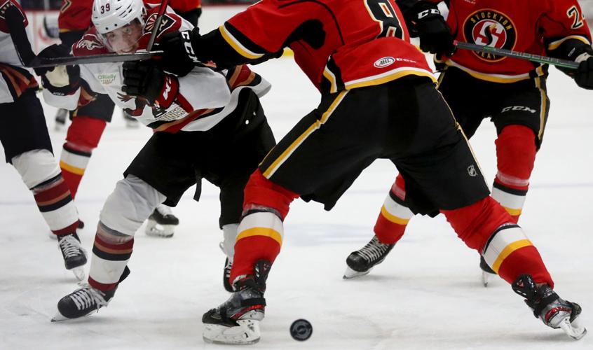 010622-tuc-spt-roadrunners-p11.jpg (copy)