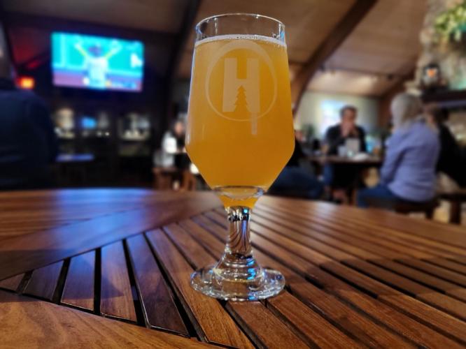 Hamburg Brewing Company Tropically Delicious Fruited Sour