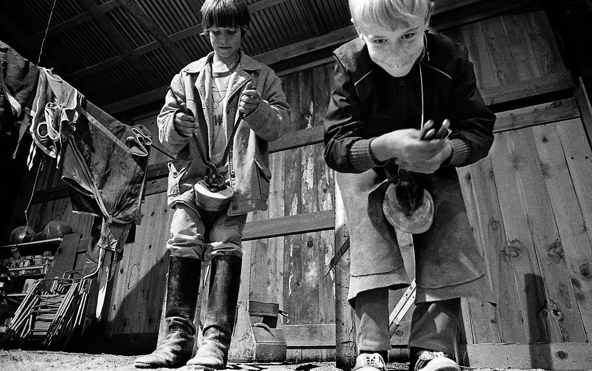Horseshoeing class