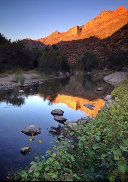 Evening Reflection in Sabino Canyon