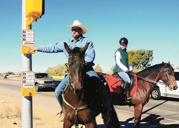 Horses, riders losing ground  