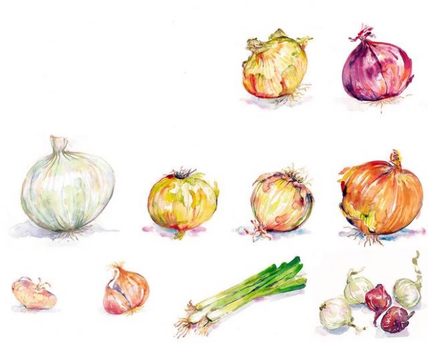 Onions: The spicy and sometimes sweet plant has played an essential role in history  