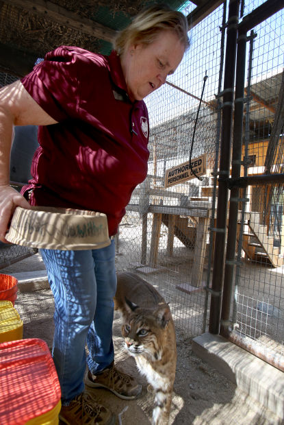 Tucson Wildlife Center