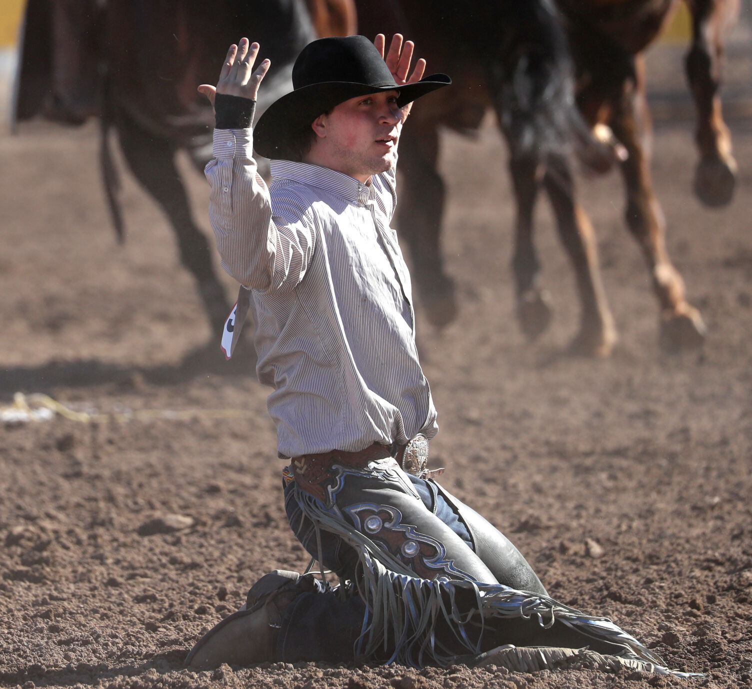 Tucson Rodeo returns with a whoop 
