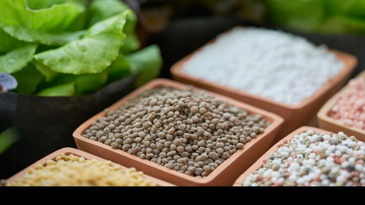 All-natural fertilizers to feed your plants | Dwelling & Backyard