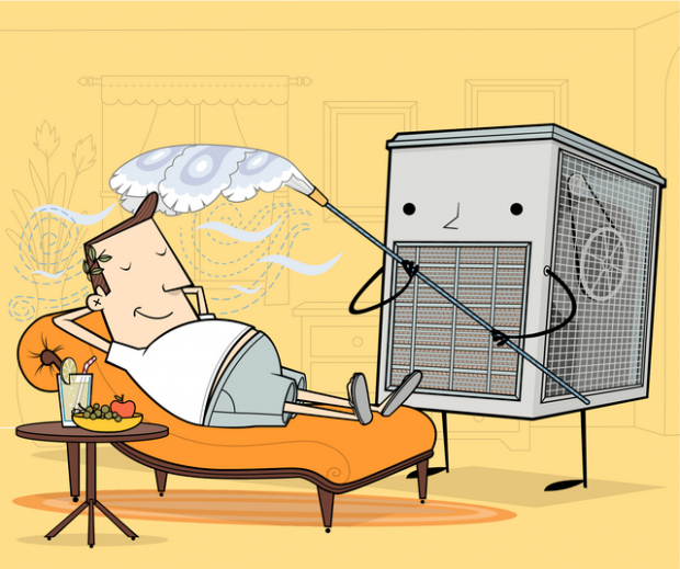 Swamp box Home & Garden