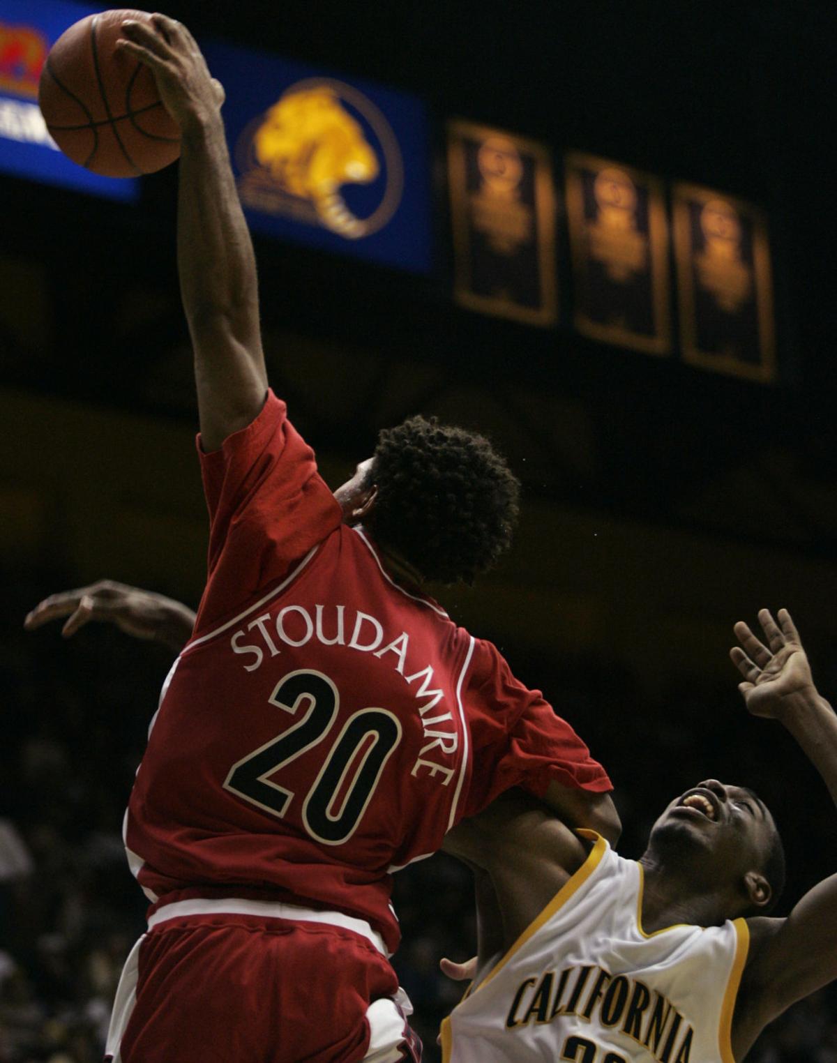 Salim Stoudamire