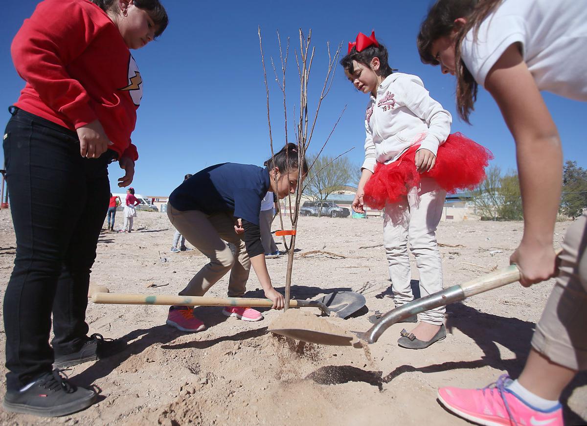 Summit View Elementary School