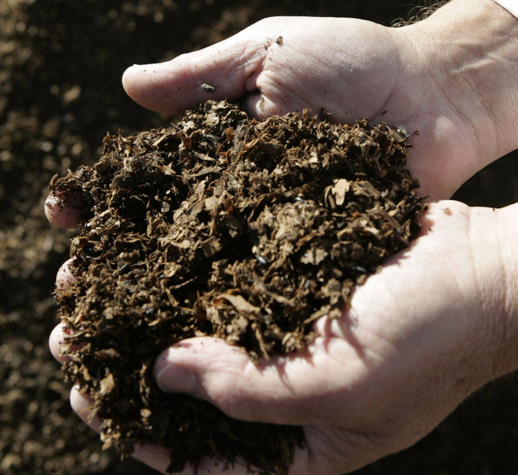 Compost happens Tips to start a pile and keep it humming All things