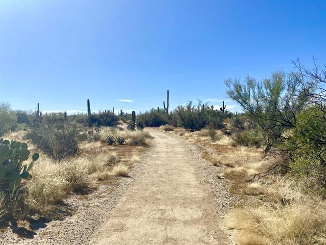 Mica View Trail