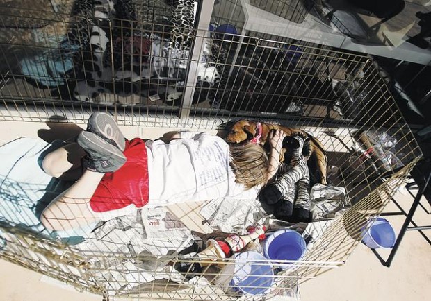 Picture this: Smooch-A-Pooch  