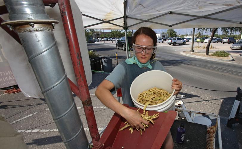 Milling mesquite bean pods to make flour
