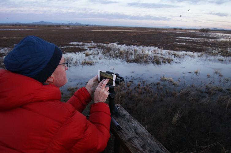 2017 Wings Over Willcox