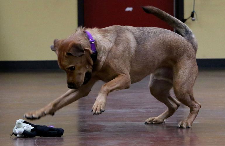 Doug Mueller and Chazz