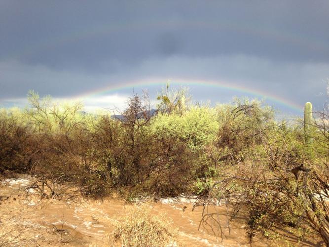 Monsoon photo contest