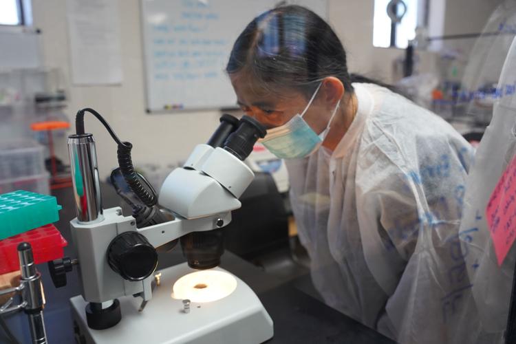Trump administration has terminated 67 research grants at U of A — so far