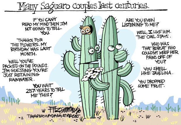 Last Laugh: Saguaros in love