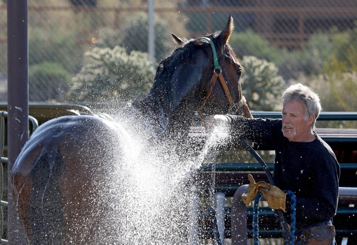 Photos Horse racing returns to Rillito Park