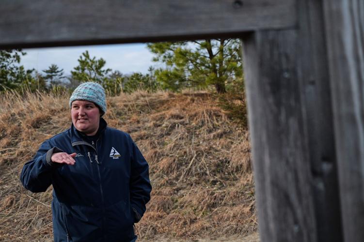 Climate Cranberry Bog Restoration